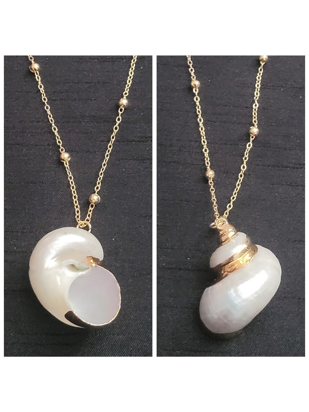 Beachy sea shell necklace with gold accents on dainty satellite bead chain